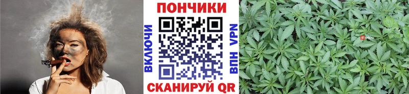Какие есть наркотики Исилькуль КЕТАМИН  КОКАИН  Меф  A PVP  АМФЕТАМИН  Канабис  ГАШИШ  Галлюциногенные грибы 